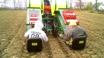 Planting Garlic with Water Wheel Transplanter