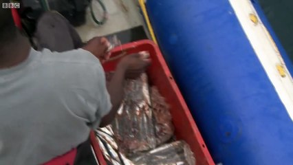 Overboard into Shark Swarm - Deadly 60 - Series 2 - BBC