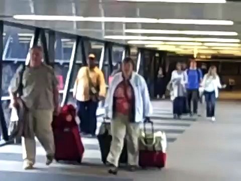 German Shepherd Reunited With Owner