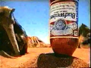 Pub Budweiser marrante avec un tapir