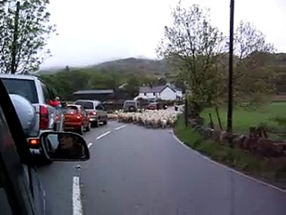 Funny Traffic Jam