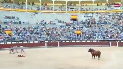 İspanya'da Boğanın Acı İntikamı