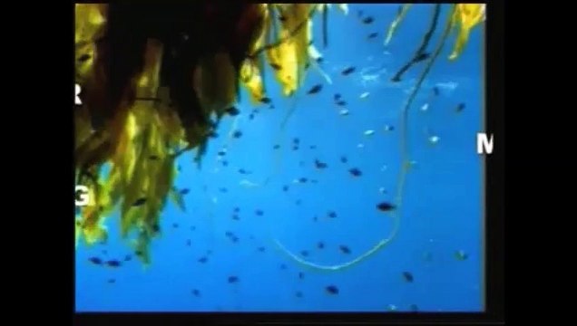 scientific miracle of Quran on PLATE TECTONICS THEORY