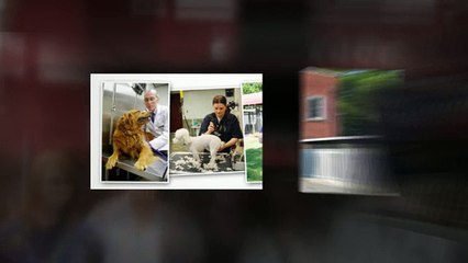 Charlotte Veterinary Services videos - Dailymotion