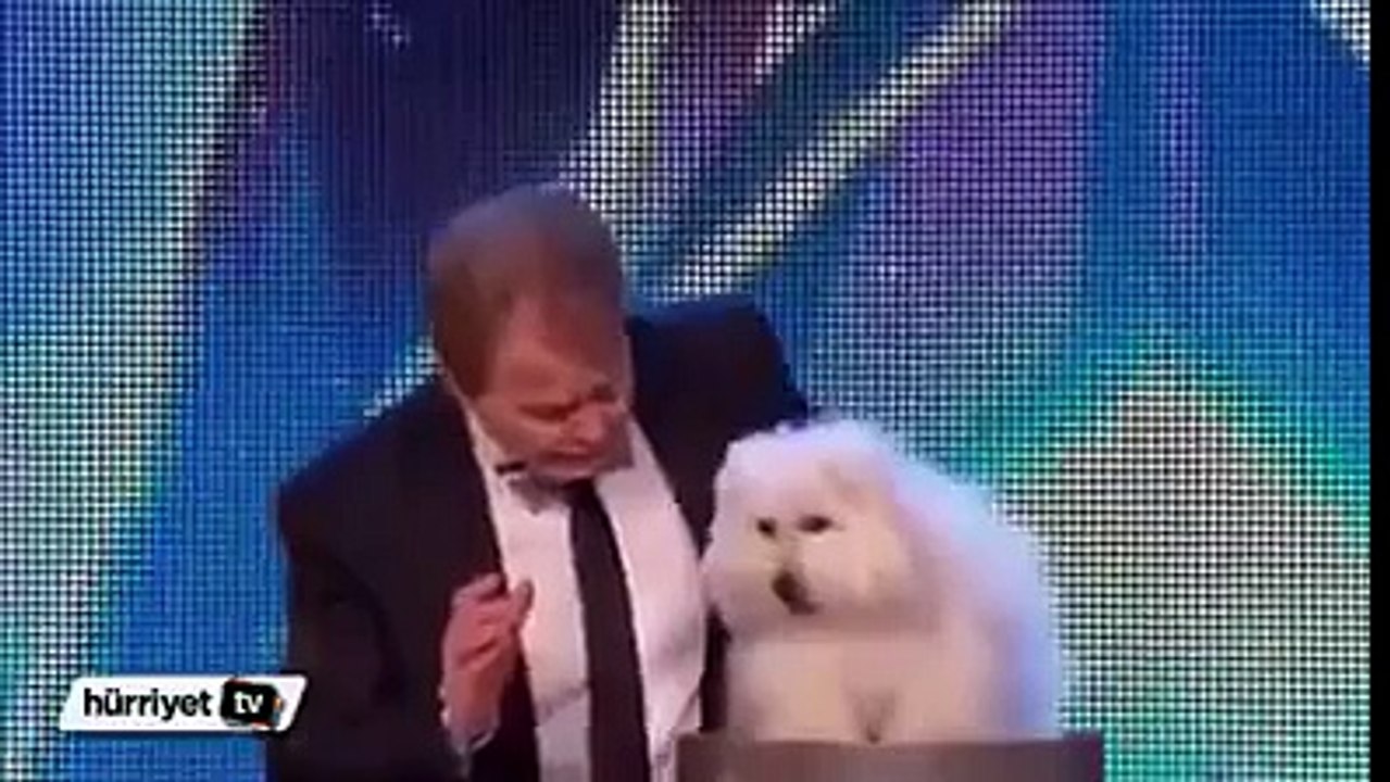 Britain's Got Talent El perro que habla