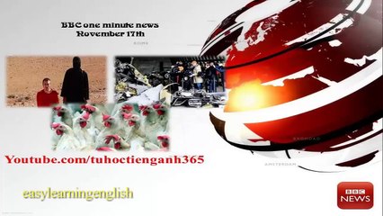 Learning English via newsletter BBC News article 8