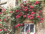 Sissinghurst Castle Gardens