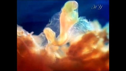 scientific miracle of Quran on SEQUENCE IN DEVELOPMENT OF HUMAN ORGANS