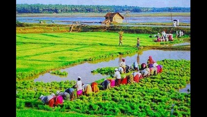 Kerala an Indian state details for travellers its geography culture, etc