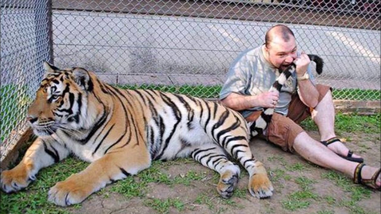 Des débiles défient la mort - compilation de tarés!