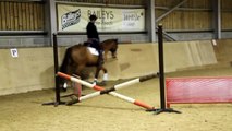 Jumping a dressage horse!