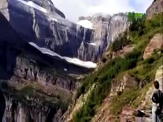 When Animals Strike - Bear Attacks Dad