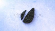 After Effects Project Files - Grass Logo Freeze Logo Sting - VideoHive 3685913