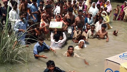 Pakistan Freedom Movment