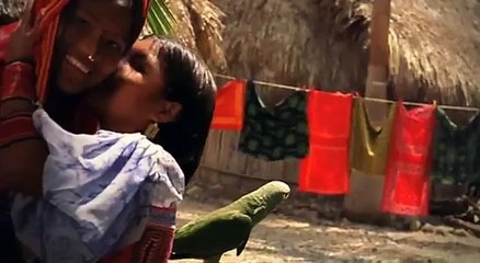 PERSIGUE TUS SUEÑOS pásala