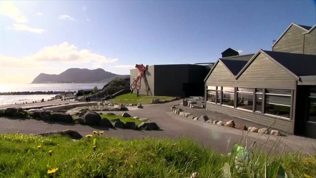 Trois bébés manchots dérobés dans un aquarium de Norvège