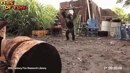 Funny Videos- Stupid people doing stupid things