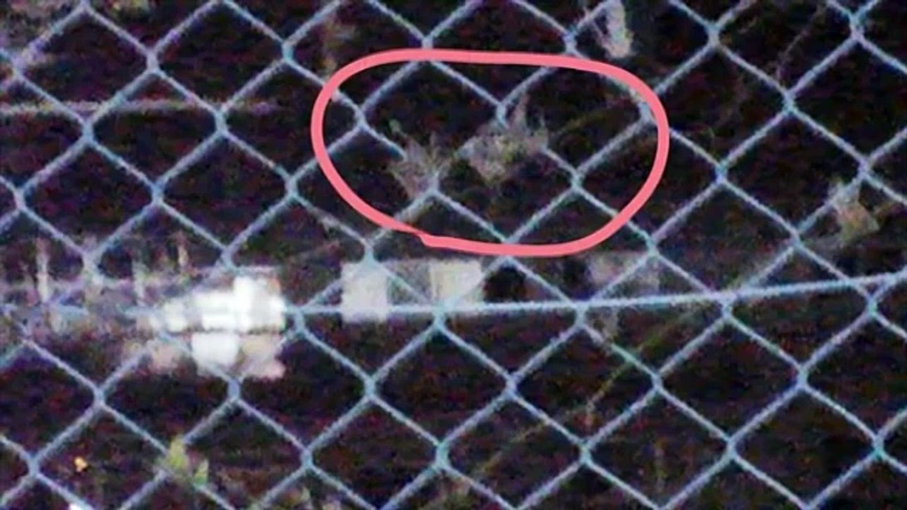 【閲覧禁止】ガチヤバ動画 マジで怖すぎる心霊写真3 本物 画像 Ghost Pictures Show