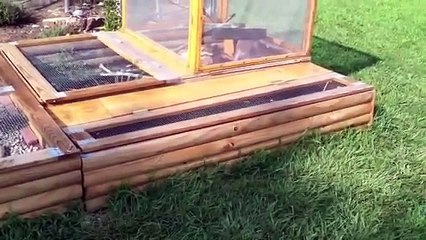 Large Outdoor Turtle & Bearded Dragon Habitat & Setup
