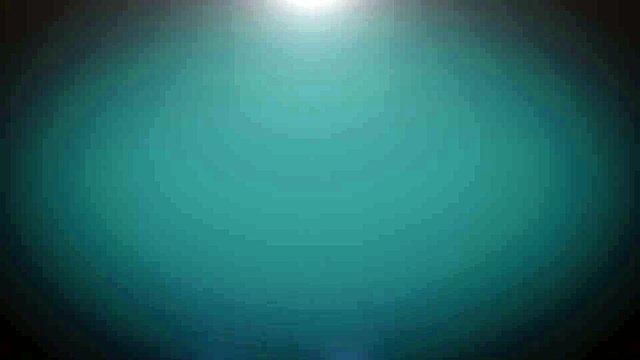 After Effects Project Files - Heart Particles - VideoHive 10267571