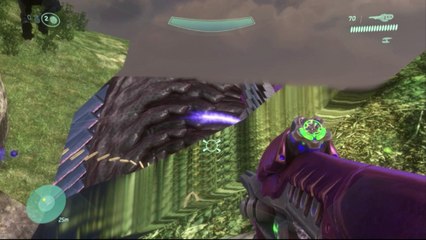 HALOピクニック