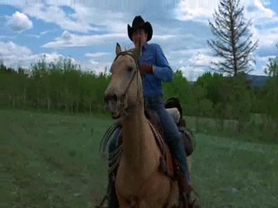 Brokeback Mountain - What hurts the most