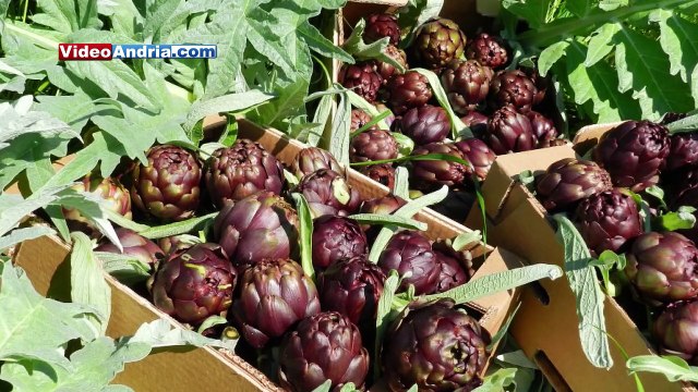 Sabino Fortunato al mercato ortofrutticolo di Andria: va spostato e rinnovato