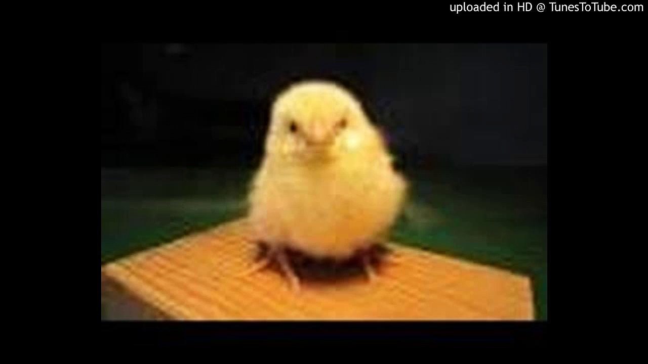 瞳そらさないで/ZARD/DEEN/ピアノ 高橋丈太郎