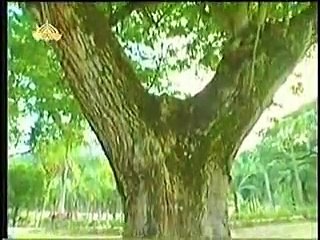 Masuri Track-5 meri ankhon mein