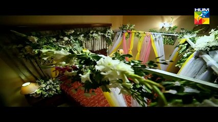 HUM TV Aye zindagi ep 10 promo