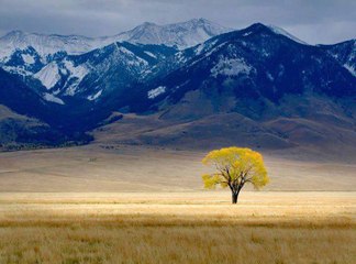 Ek Din Marna Hai- part 2  bayan Maulana Tariq Jameel Sahab