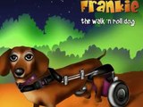 Disabled Dog Shares Story of Hope: Frankie the Walk 'N Roll Dog