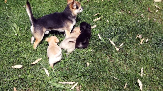 1ere sortie au jardin