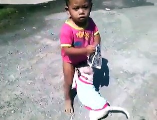 dog enjoying on his property