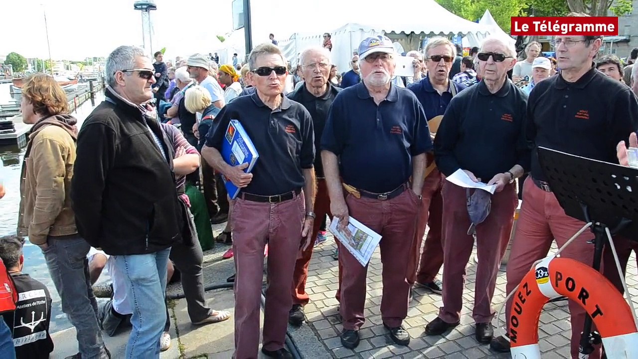 Semaine du Golfe. La fête nautique à Vannes