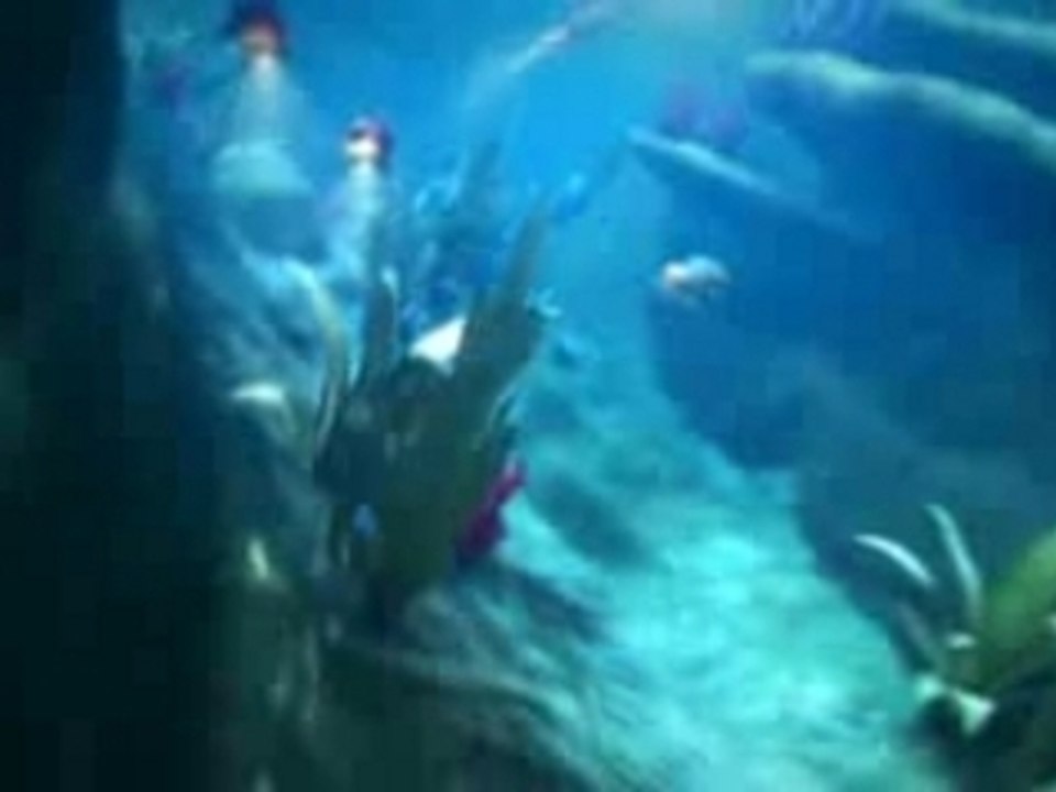 Dj crazy frog - popcorn