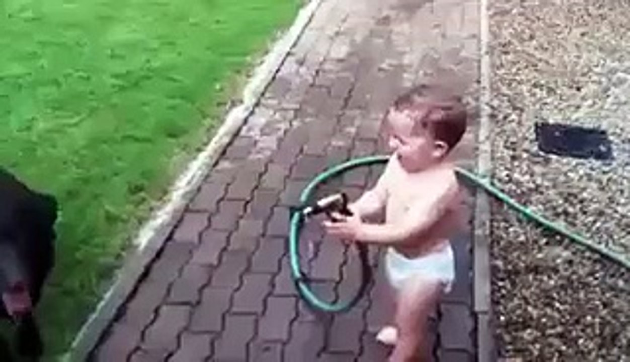 Baby giving bath to dogs