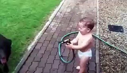 Baby giving bath to dogs