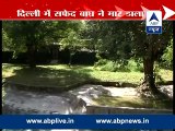 SHOCKING VIDEO_ White tiger kills youth at Delhi zoo