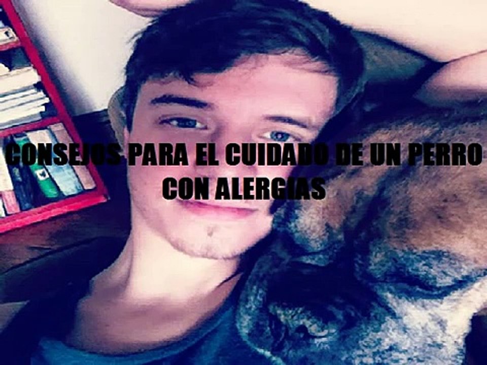 Como Cuidar a mi Perro