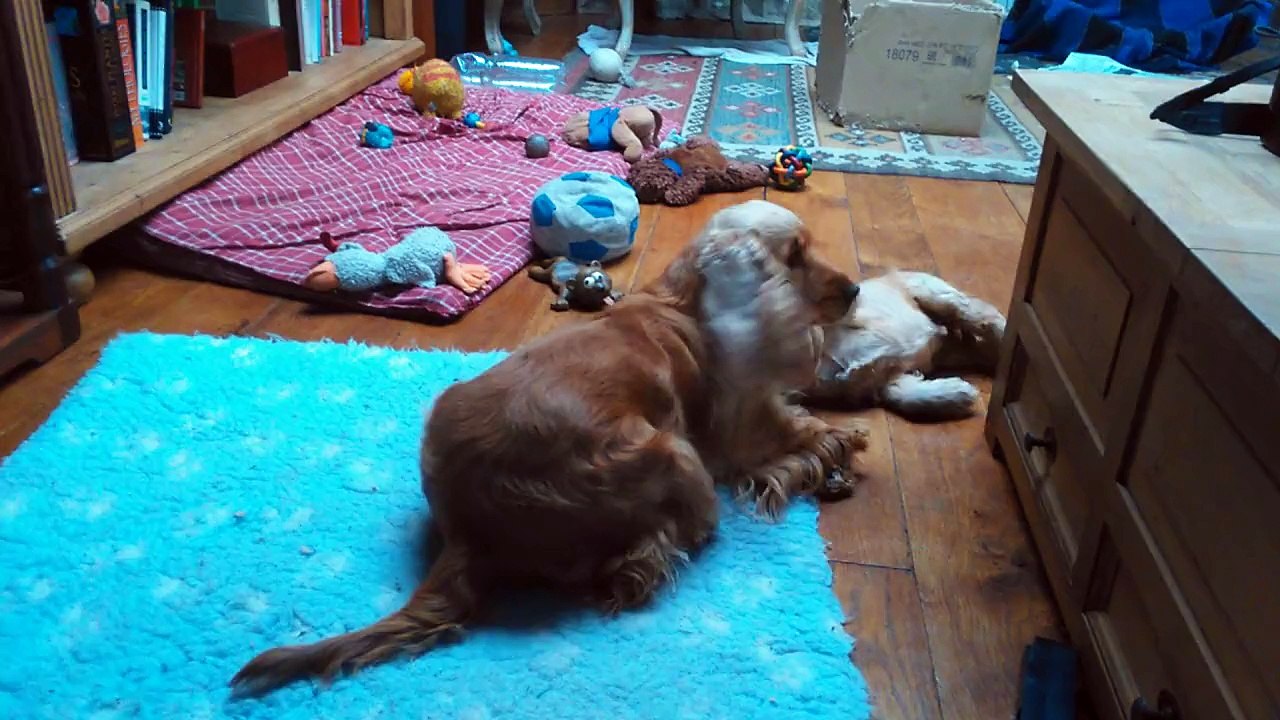 Retrouvailles Oufti et maman Harmonie 1