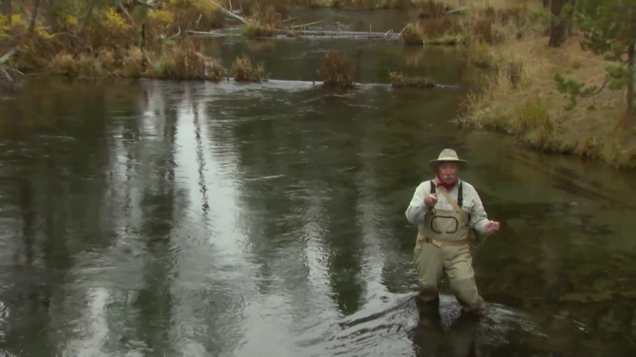 Fly Fishing Tips: Why You Should Pause on Your Backcast