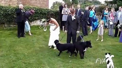 Komik ilginç sakarlıklar 1