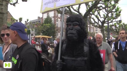 Marche contre le  centre de primatologie de Strasbourg