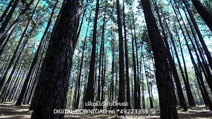 เปลี่ยนเป็นรัก Ost.รักต้องอุ้ม - นนท์ ธนนท์ - Official MV