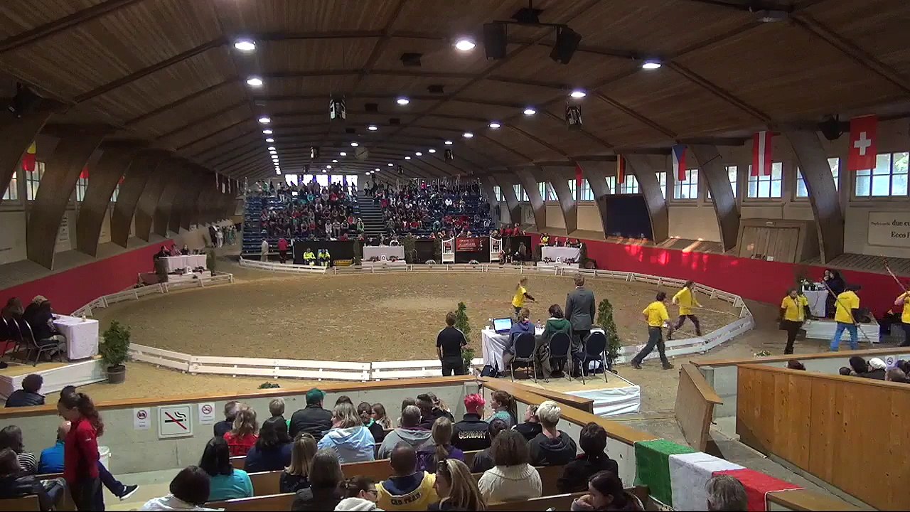 CVI Bern 2015 (REPLAY)- Squad CVI3* - Team Biell (SUI) - Freestyle1
