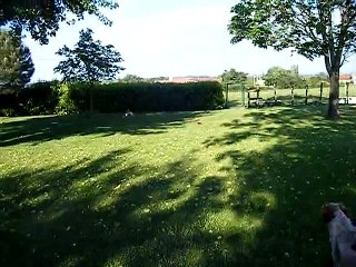 Jacée et le pot de fleurs vide !