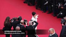 Sophie Marceau dévoile sa petite culotte lors du festival de Cannes 2015