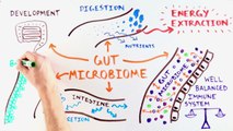 Enterome: the gut microbiome and its impact on our health