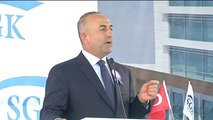 Çavuşoğlu: 